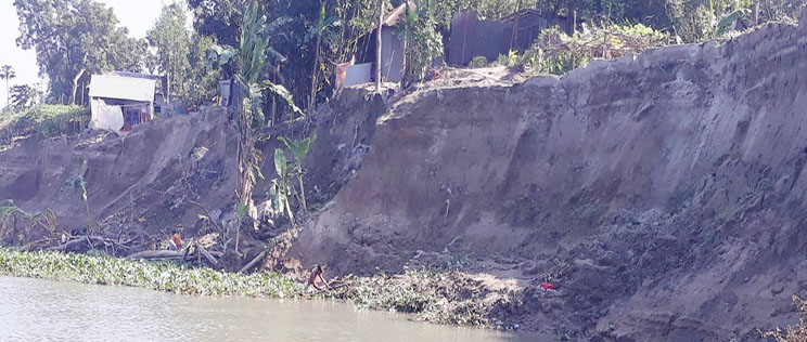 মির্জাপুরে হঠাৎ তীব্র নদী ভাঙ্গনে দিশেহারা অসহায় পরিবার বিভিন্ন স্থাপনা বিলিন