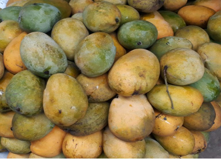 মির্জাপুরে কার্বাইডযুক্ত আম খেয়ে চিকিৎসক ও শিশুসহ একই পরিবারের ৮ জন অসুস্থ্য