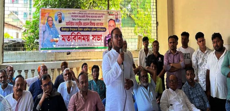 মির্জাপুরে নৌকায় ভোট চাইলেন ব্যারিষ্টার তাহরীম হোসেন সীমান্ত