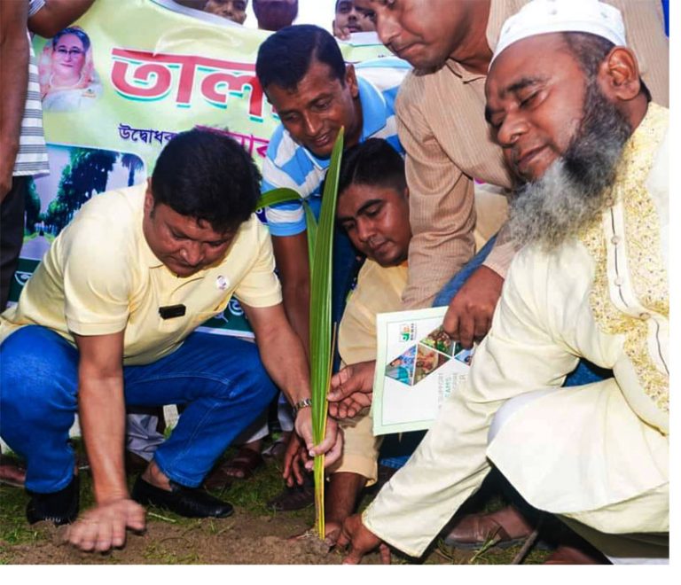 মির্জাপুরে বজ্রপাত থেকে সুরক্ষায় রাস্তার দু,পাশে তালগাছের চারা রোপন