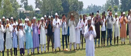 মির্জাপুরে বৃষ্টির জন্য গ্রামে গ্রামে খোলা আকাশের নিচে চলছে নামাজ